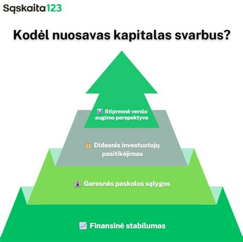 Infografika apie verslo finansavimo šaltinius (nuosavas kapitalas, paskolos, investicijos)