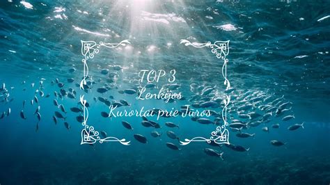 Nuotrauka: padavėjai dirbantys Kipre prie jūros