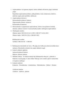Infografika apie slapukų tipų skirstymą ir jų funkcijas