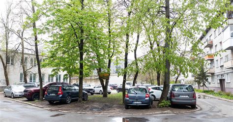 Infografika: viešosios ir privačios parkavimo vietos skirtumai