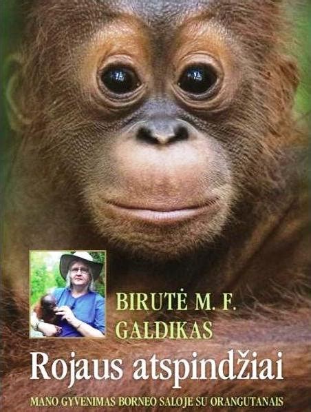 Viršelis Birutės Galdikas knygos 