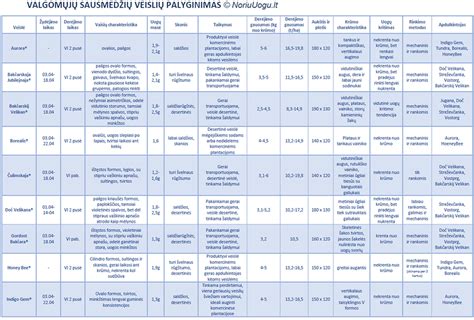 Palyginamoji lentelė su regėjimo reikalavimais skirtingoms vairuotojų kategorijoms.