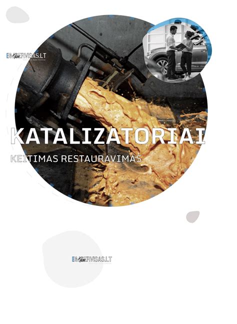 Katalizatoriaus sandaros pjūvis
