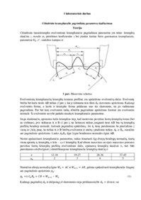 Schema, iliustruojanti oro erdvės suskirstymą į sektorius ir trijų pagrindinių valdymo parametrų (kryptis, aukštis, greitis) taikymą