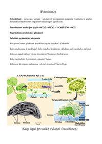 Ratlankių virinimo proceso schema