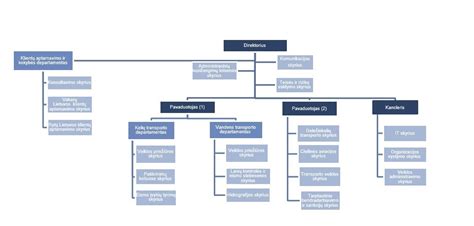 schema vieningo transporto priemonių registro struktūros