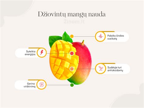 Infografika: kokybiškų automobilių dalių nauda (saugumas, ilgaamžiškumas, ekonomija)
