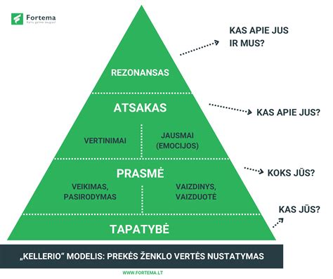Toyota prekės ženklo vertės infografika/diagrama