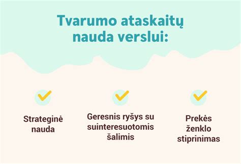 Tvarumo ataskaitų rengimo reikalavimų schema