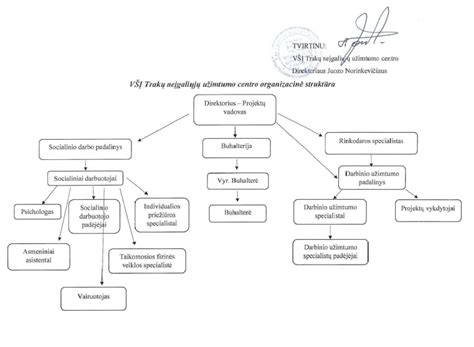 Schema: piktnaudžiavimo neįgaliųjų kortelėmis problemų mastas