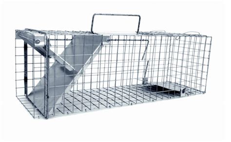 Nuotrauka: skirtingų tipų spąstai kiaunėms