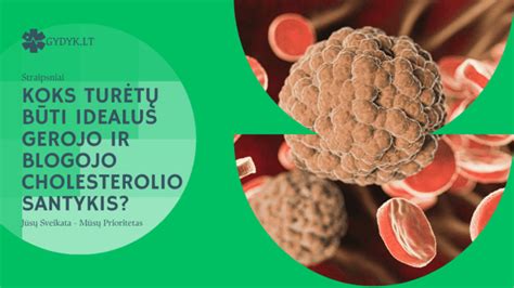 Infografika: gerojo ir blogojo cholesterolio balansas ir jo įtaka širdies sveikatai