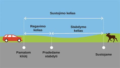 Infografika: žieminių padangų stabdymo kelias ant sniego, ledo ir šlapio asfalto, palyginti su vasarinėmis
