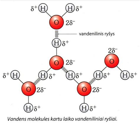 Infografika: Ryšys tarp minimo ritmo (cadence) ir sudegintų kalorijų