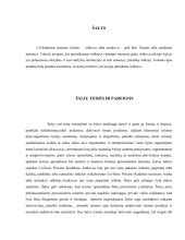 Teisėjas, nagrinėjantis dokumentus teismo posėdyje, simbolizuojantis precedento analizę