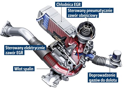 Ford Transit 2.2 TDCi variklio komponentų išdėstymo schema (DPF, EGR, turbokompresorius)