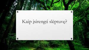 scheminis brėžinys, kaip įsirengti paprastą slėptuvę po žeme