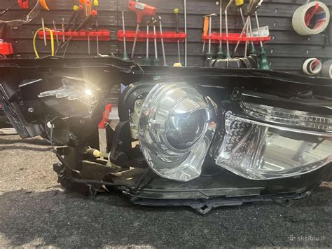 Asortimentas priekinių žibintų dalių elektroninėje parduotuvėje.