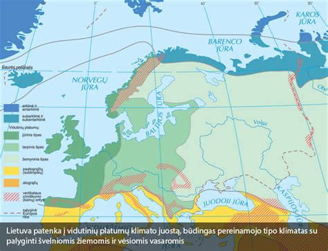 Teminė nuotrauka su padangų kalnu ir perdirbimo simboliu
