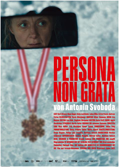 schematinis persona non grata principo taikymo pavyzdys