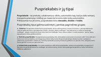 Diagrama: skirtingų priekabų ir puspriekabių tipų matmenys