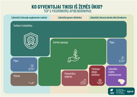 Infografika: kokybiško ir pigaus remonto skirtumai