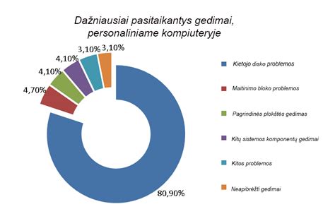 Diržo sistemos komponentų diagrama