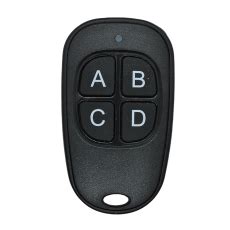 Tematinė automobilio signalizacijos pultelio nuotrauka