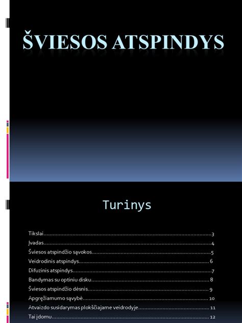 Apleistos Detroito gamyklos: automobilizmo epochos atspindys