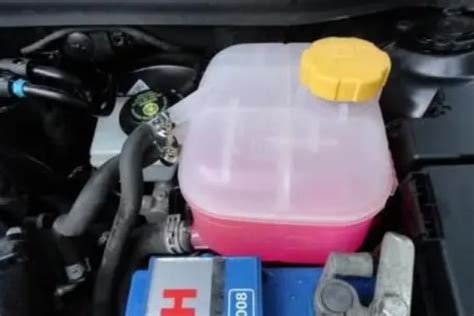 Mechanikas tikrinantis aušinimo skysčio lygį