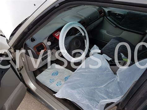 Teminis automobilio salonas su apsauginėmis grotelėmis ir augintiniu bagažinėje