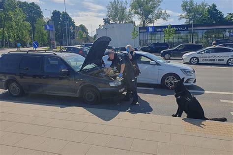 ilustracija automobilio gaudynių scenai