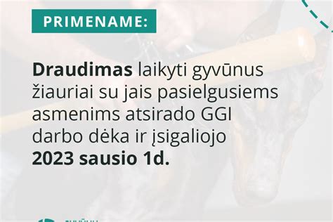 Infografika: Promilės ribos ir atitinkamos bausmės Lietuvoje