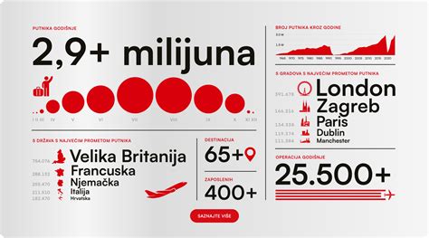 Infografika: Atsakingo veisėjo pareigos