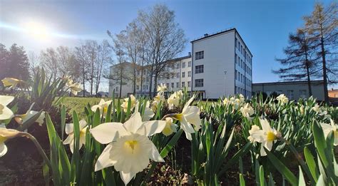 Rimanto Stankevičiaus memorialas Marijampolėje