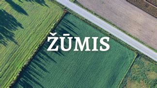 Nuotrauka, iliustruojanti atsiklijavusio krašto klijavimą
