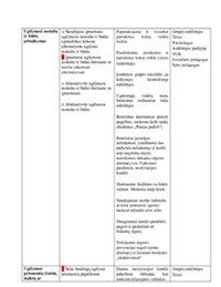 Schema: elgesio planas cheminės avarijos atveju
