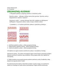 Infografika: amortizatoriaus susidėvėjimo požymiai (vizualinis palyginimas)