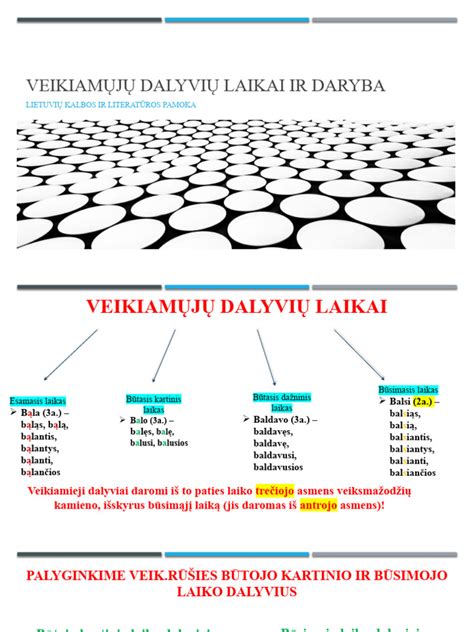 Inžinerinė schema, vaizduojanti guolio sandarą ir rutuliukų išdėstymą tarp žiedų