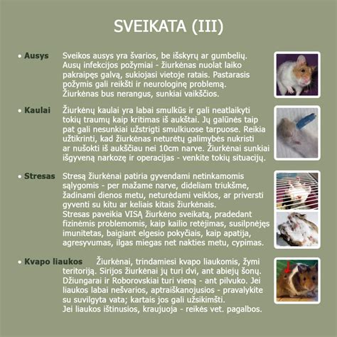 Infografika: Gyvūnai, kuriuos galima laisvai laikyti Lietuvoje