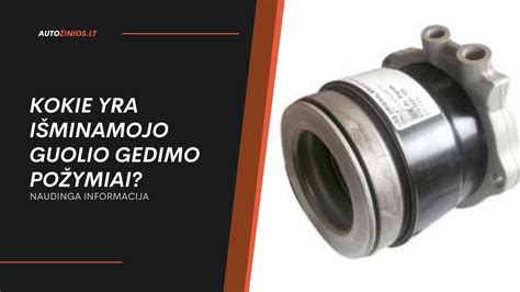 Scheminis sankabos išminamojo guolio veikimas ir gedimų iliustracijos