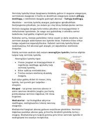 schema: sankabos sistemos sandara (diskas, spaudimo plokštė, smagratis, išminamasis guolis)