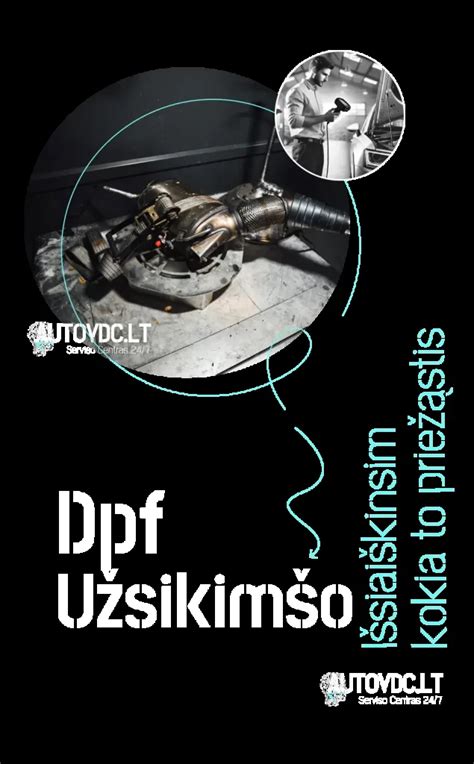 DPF filtro ir katalizatoriaus skirtumų infografika