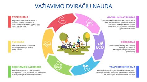 Įvairių tipų dviračių (miesto, kalnų, plentinio) iliustracija