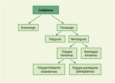 „Megabox“ skyriaus schema, demonstruojanti jo funkcionalumą ir papildomą erdvę