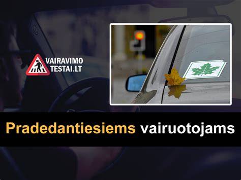 Schema: Greičio viršijimo intervalai ir sankcijos pradedantiesiems bei patyrusiems vairuotojams