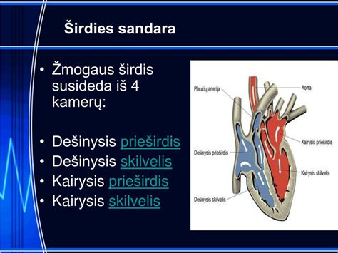 schema: katalizatoriaus sandara su koriniu bloku ir išmetimo sistemos vieta