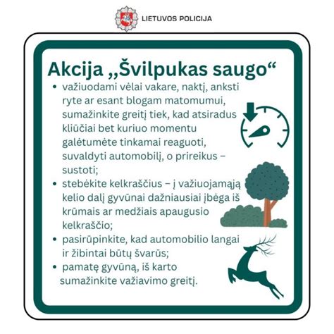 Infografika, iliustruojanti avarijų statistiką su laukiniais gyvūnais