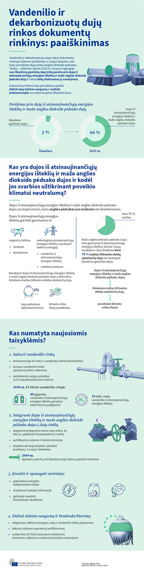 Inforgrafika: rinkinio komponentų paaiškinimas