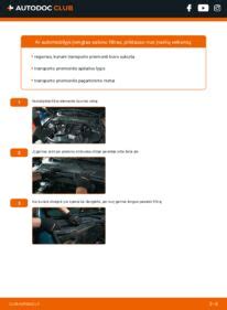 Salono filtro vietos schema automobilyje